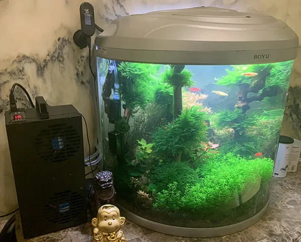 Aquarium Fish Small - Constante Temperatuur Verstelbare Halfgeleider Koelkast Kleine