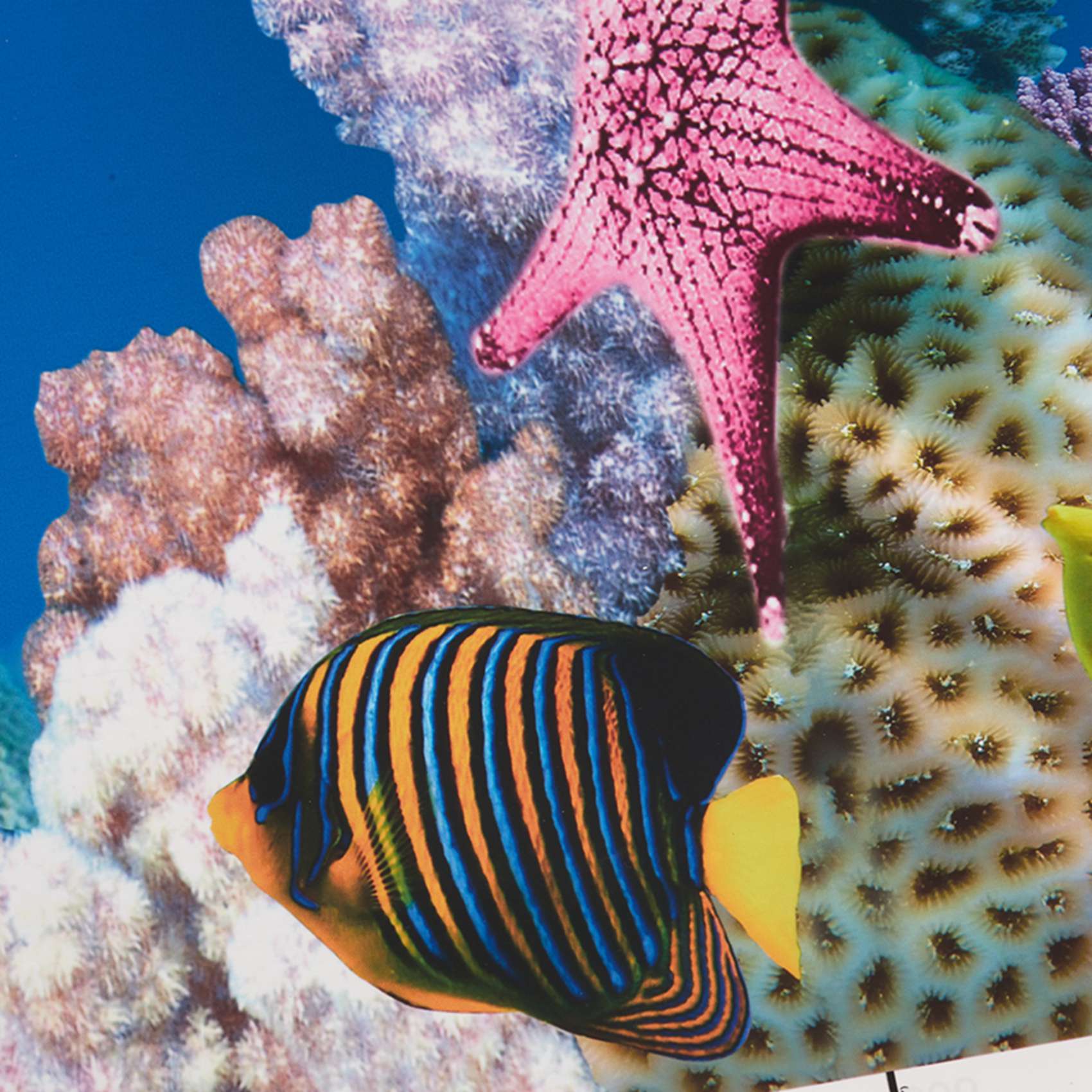 Aquarium Fish Wallpaper - ABWR-Aquarium Achtergrondpapier HD Picture 7D Driedimensionaal