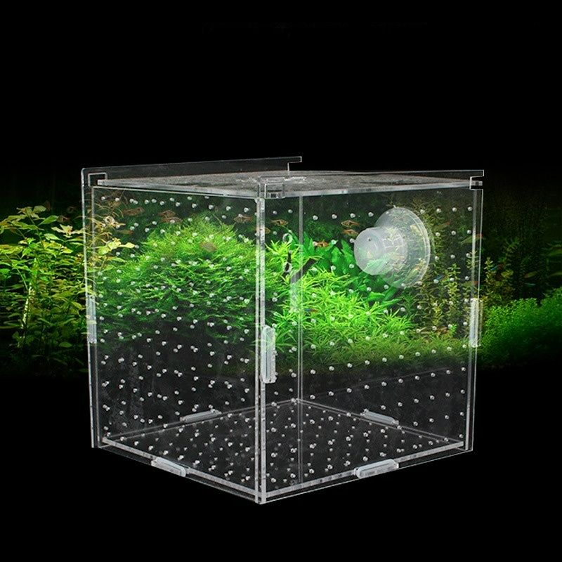 Aquarium Fish Net Small - Acryl Isolatie Box Aquarium Transparant Aquarium
