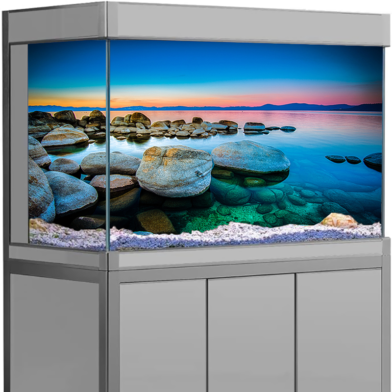 Aquarium Fish Wallpaper - Aquarium Achtergrond Sticker Steen Zeezicht Poster