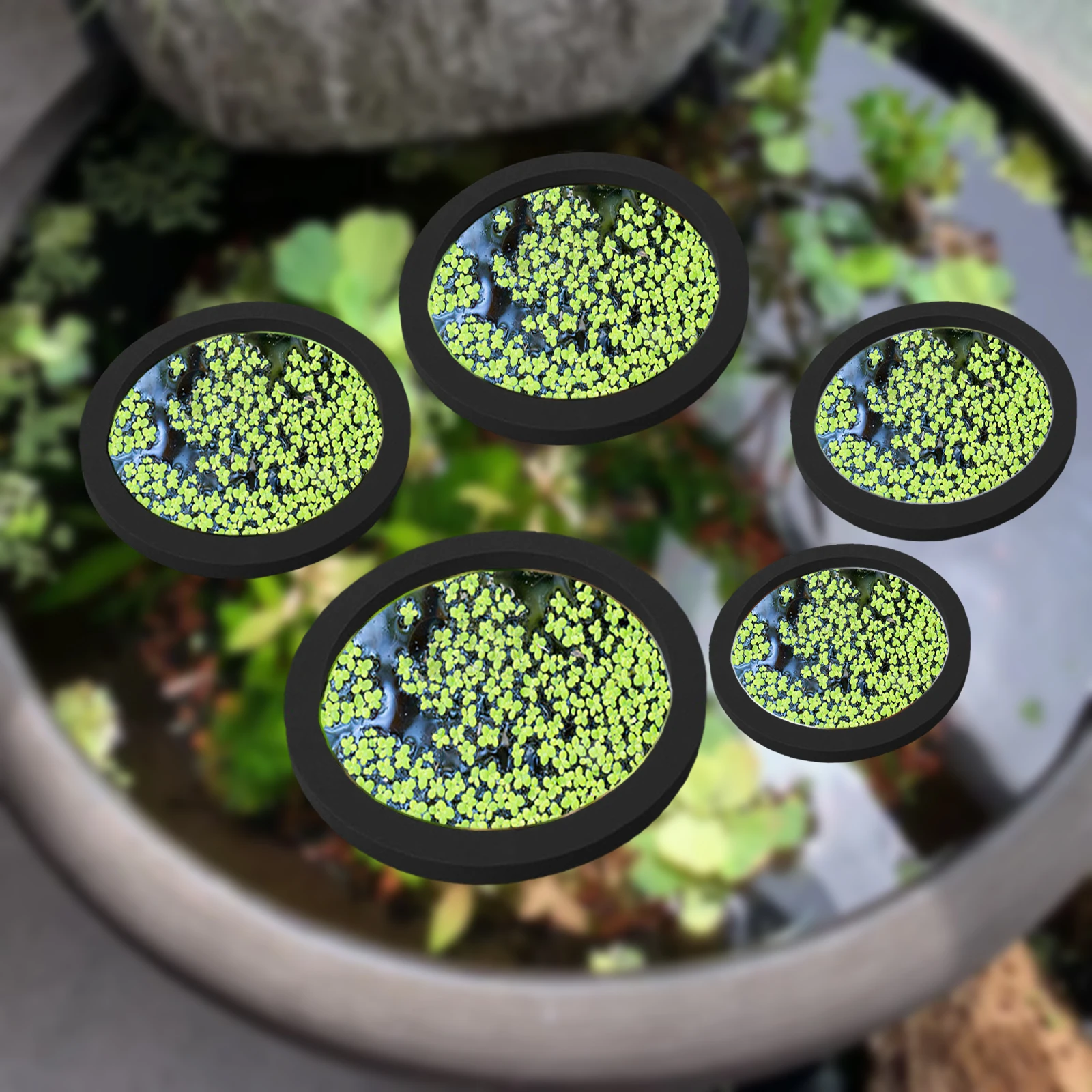 Fish Aquarium Home - 5 stks EVA Vis Voeden Ring