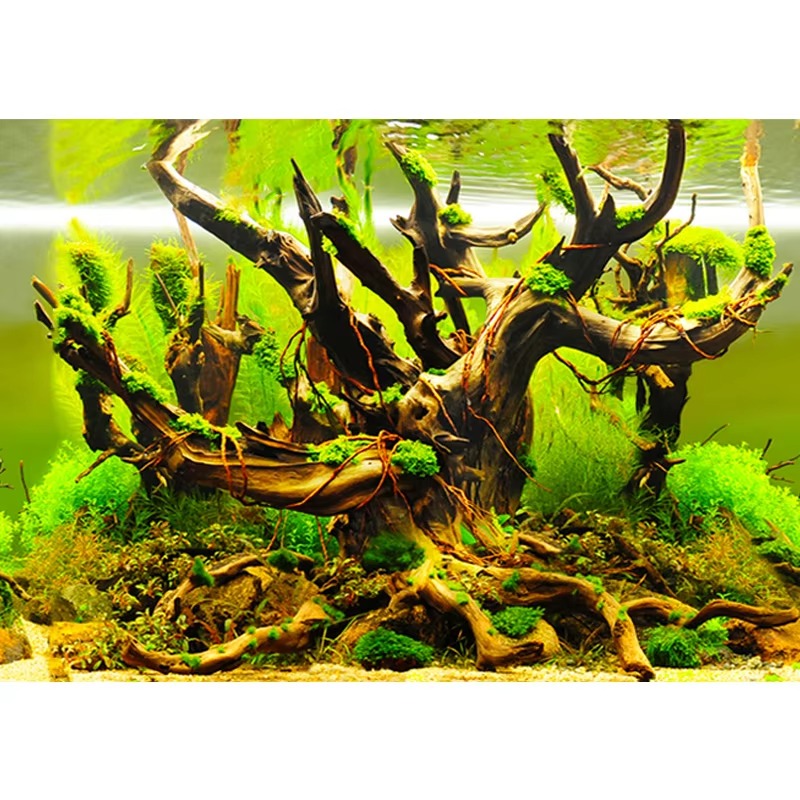 Aquarium Fish Wallpaper - 50cm Aquariumdecoratie Waterdichte Verdikte Achterwand Dubbelzijdig