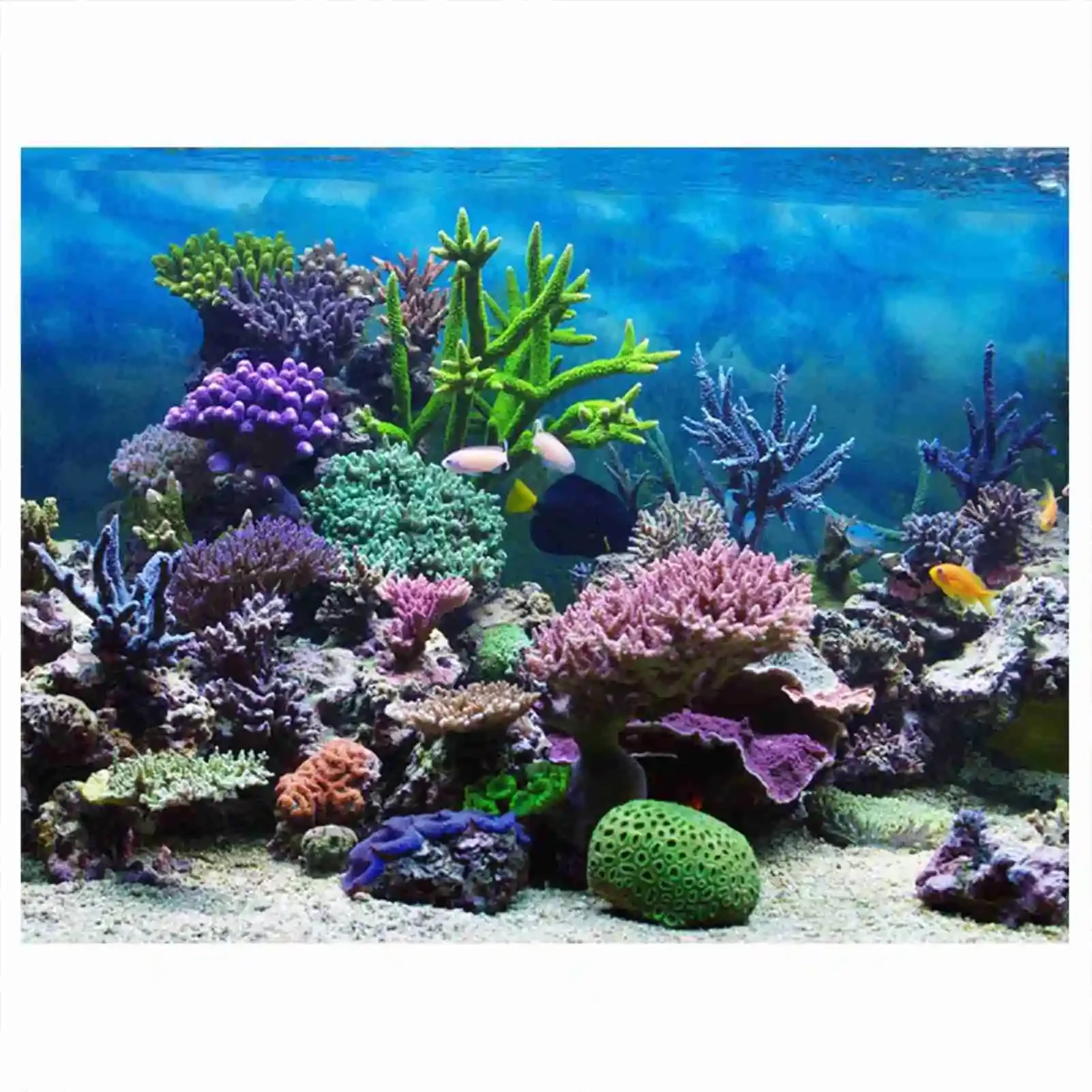 Aquarium Fish Wallpaper - 3d Aquarium Landschap Poster Regenwoud Behang