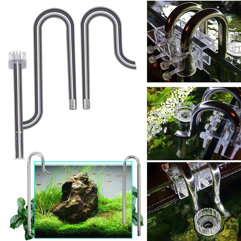 Aquarium Fish And Price - Nieuwe Aquarium Lelie Pijp Rvs Instroom
