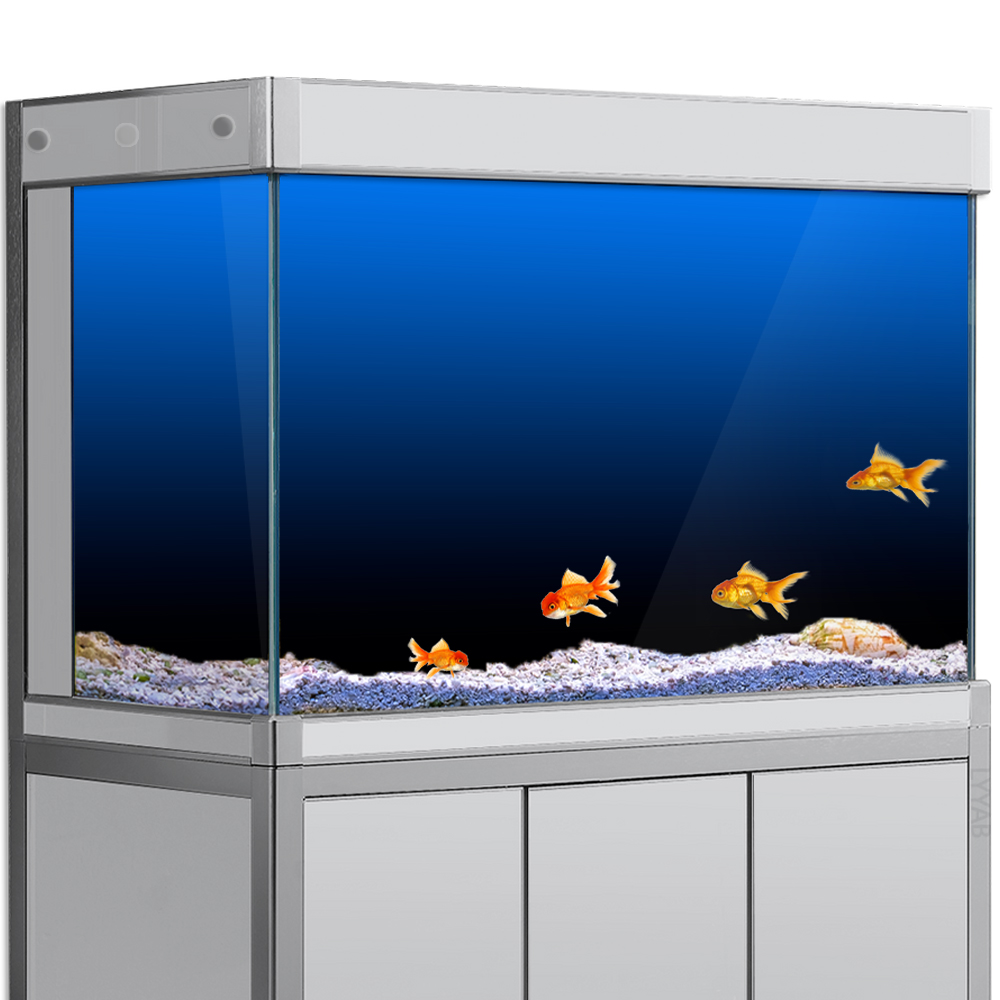 Aquarium Fish Wallpaper - Aquarium Achtergrond Sticker Zwart Groen Blauw
