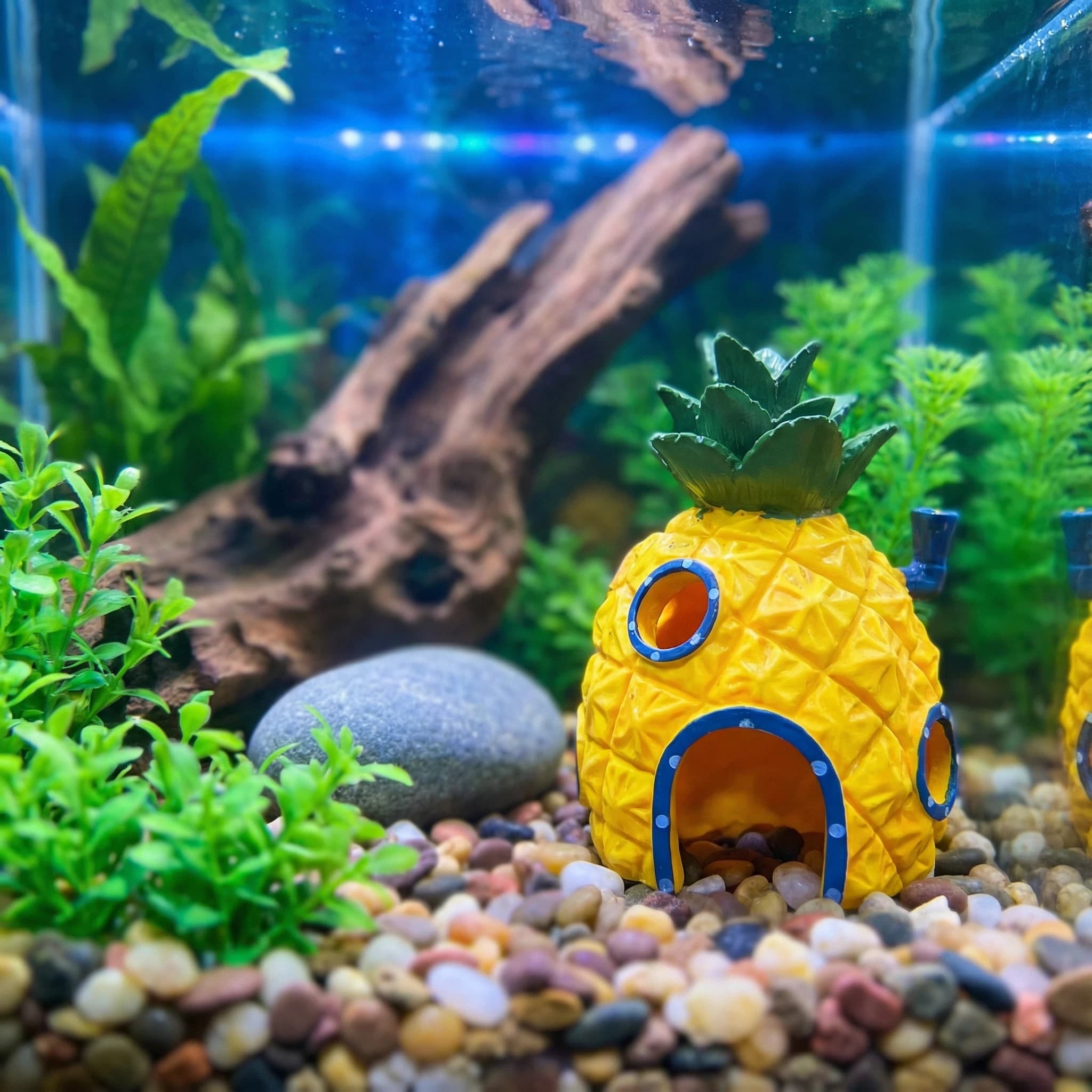 Aquarium Fish Hideout - Ananas Huis Aquarium Decor, Milieuvriendelijke HuidigeH