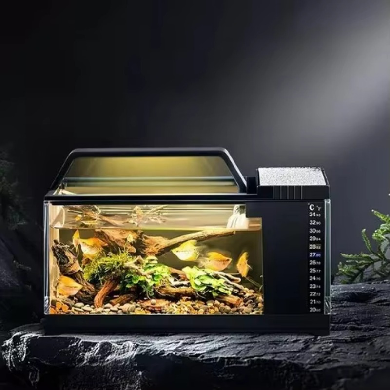 Aquarium Fish Low Maintenance - Aquarium in Zuid-Amerikaanse stijl - Klein