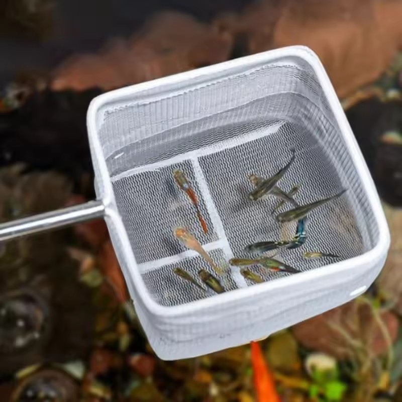 Aquariumreinigingsgereedschap, - Aquarium Fish Net Small recensie en prijs