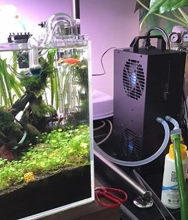 Constante Temperatuur Verstelb - Aquarium Fish Small recensie en prijs