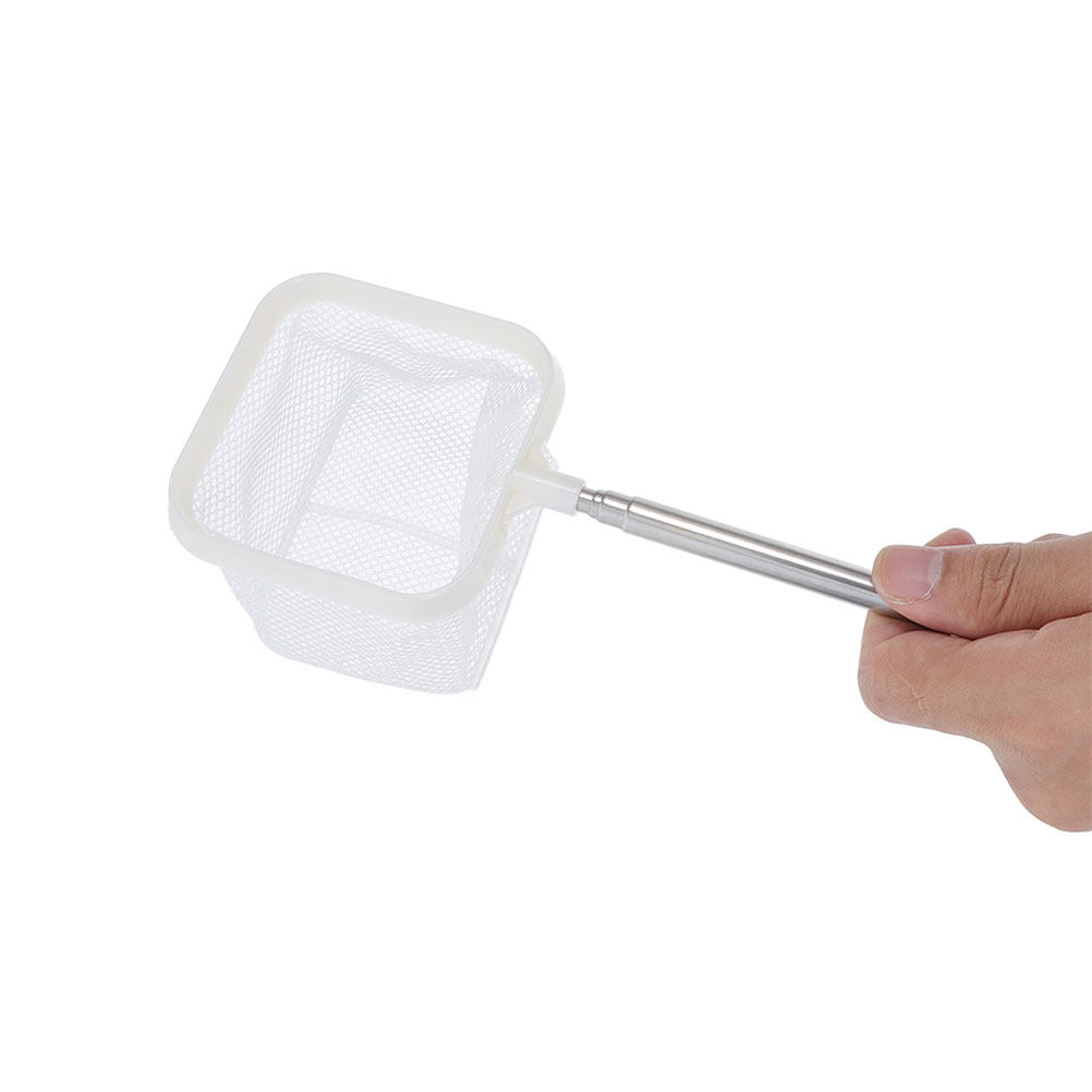 2 stuks roestvrijstalen aquari - Aquarium Fish Net Small recensie en prijs