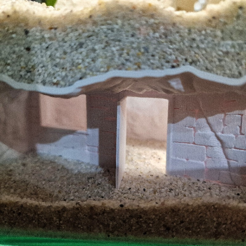 3D-geprint geheim huisje visaq - Aquarium Fish Hideout recensie en prijs
