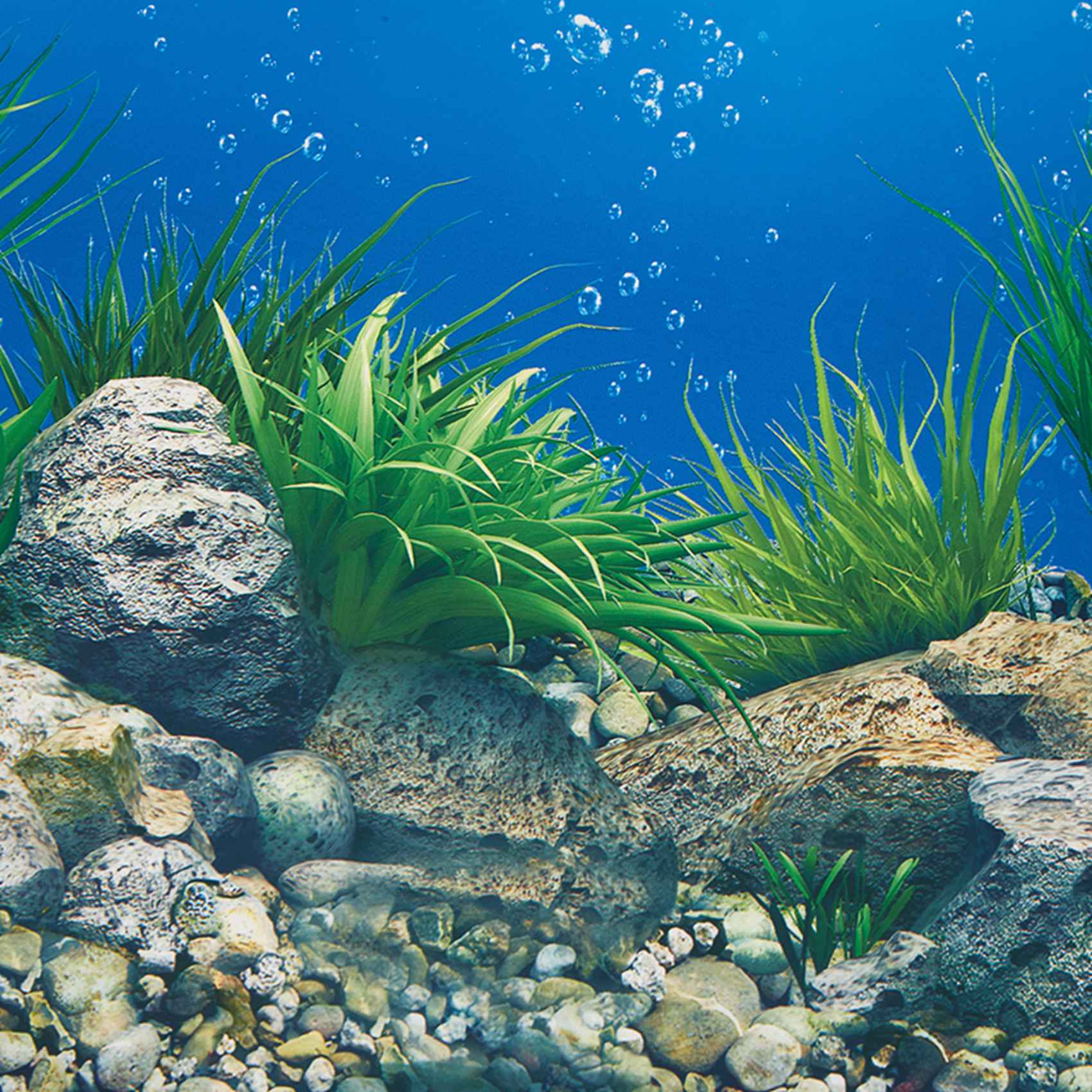 ABWR-Aquarium Achtergrondpapie - Aquarium Fish Wallpaper recensie en prijs