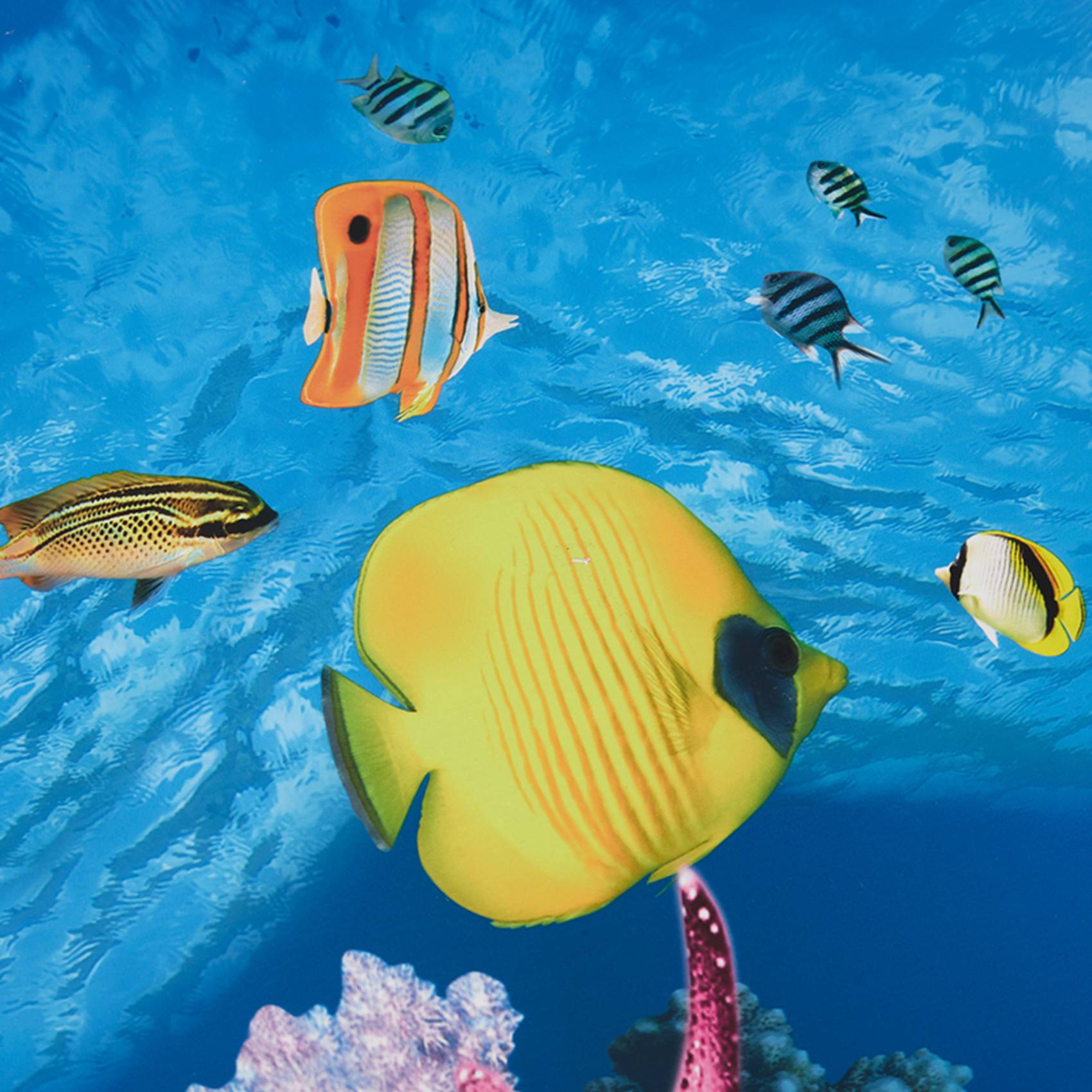ABWR-Aquarium Achtergrondpapie - Aquarium Fish Wallpaper recensie en prijs