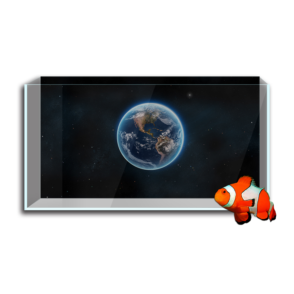 Aquarium Aquarium Achtergrond  - Aquarium Fish Wallpaper recensie en prijs