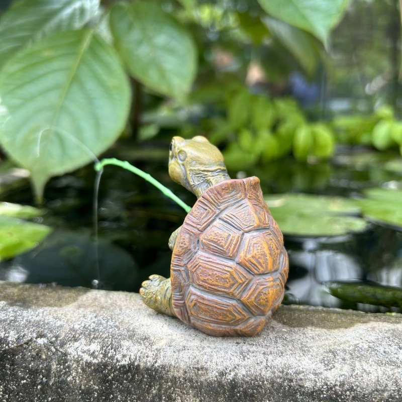 Schildpadvissen aquarium aquar - Fish Aquarium Home recensie en prijs