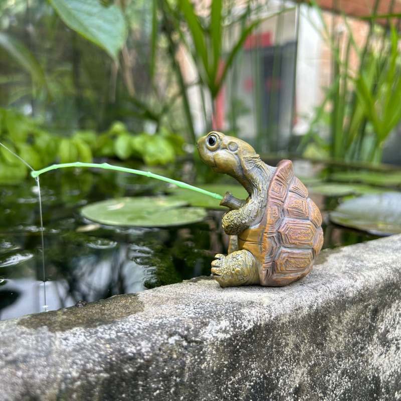 Schildpadvissen aquarium aquar - Fish Aquarium Home recensie en prijs