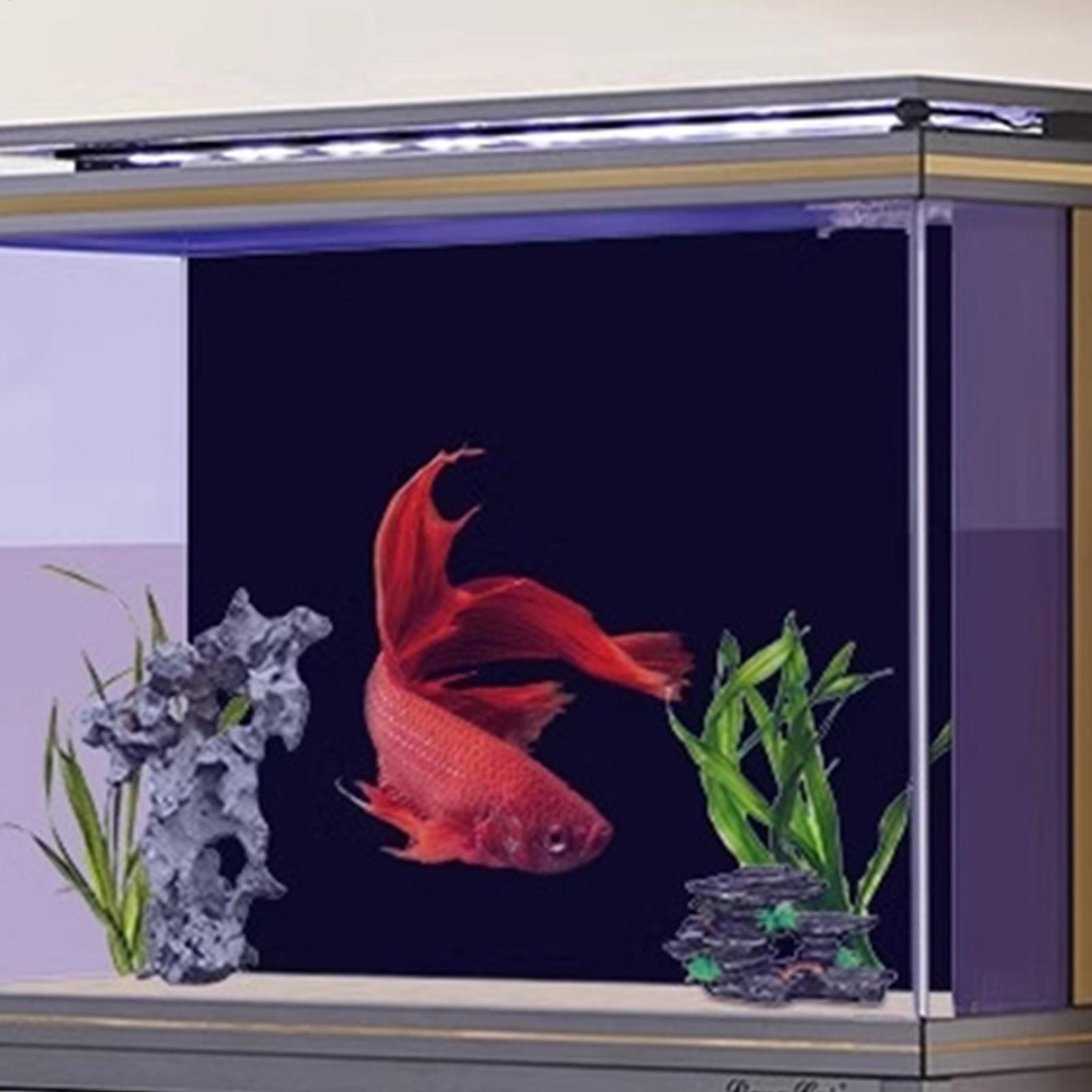 Aquariumachtergrond Statisch k - Aquarium Fish Wallpaper recensie en prijs