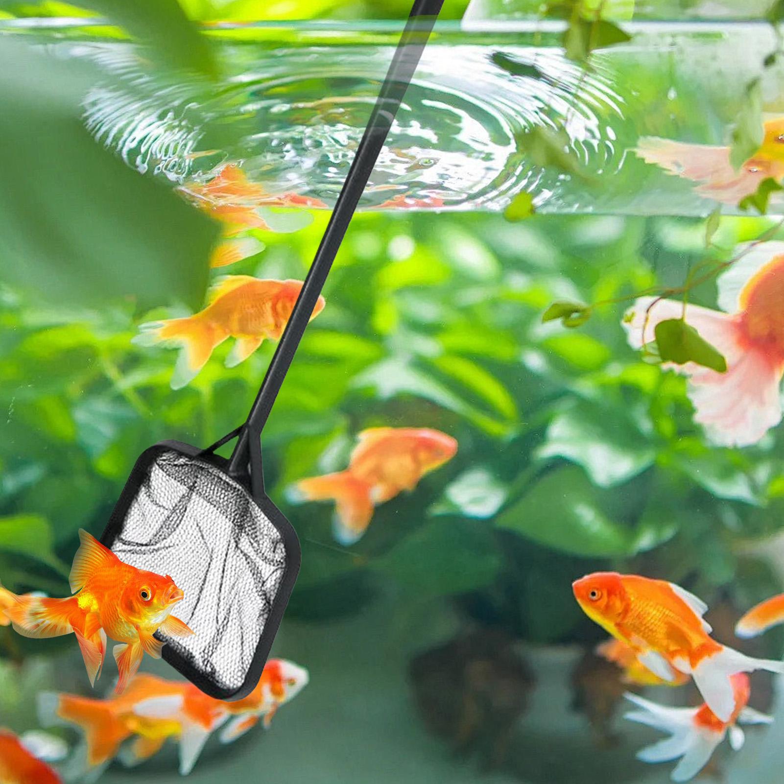 Zwembadnetten voor het reinige - Aquarium Fish Care recensie en prijs