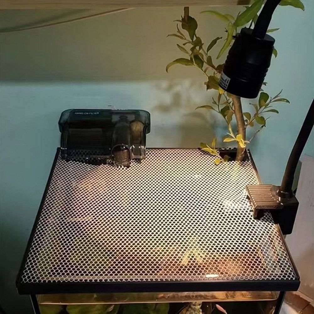 Stevige magnetische dekselafde - Aquarium Fish Jumping recensie en prijs