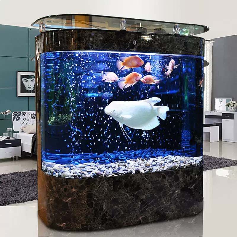 Groot gebogen aquarium, staand - Aquarium Fish Low Maintenance recensie en prijs