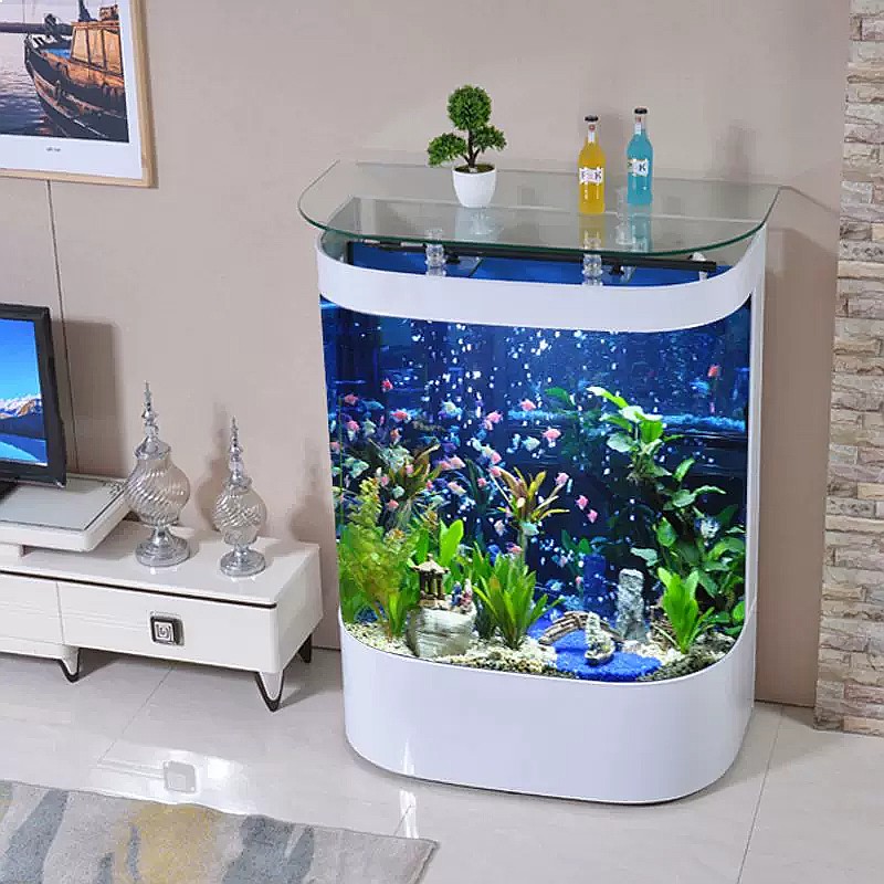 Groot gebogen aquarium, staand - Aquarium Fish Low Maintenance recensie en prijs