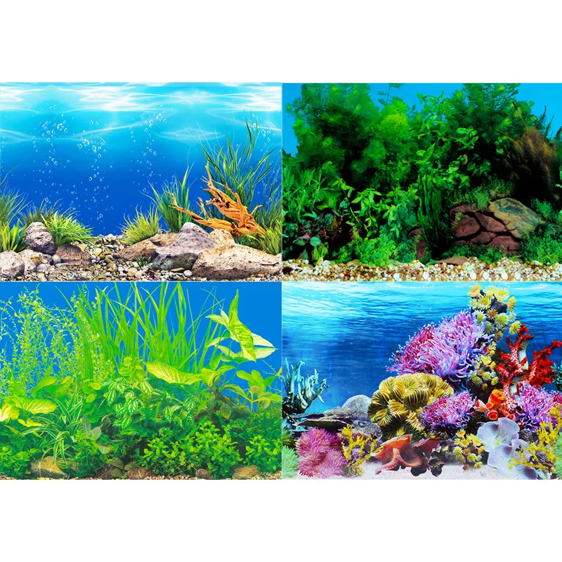 Aquarium achtergrond sticker s - Aquarium Fish Wallpaper recensie en prijs