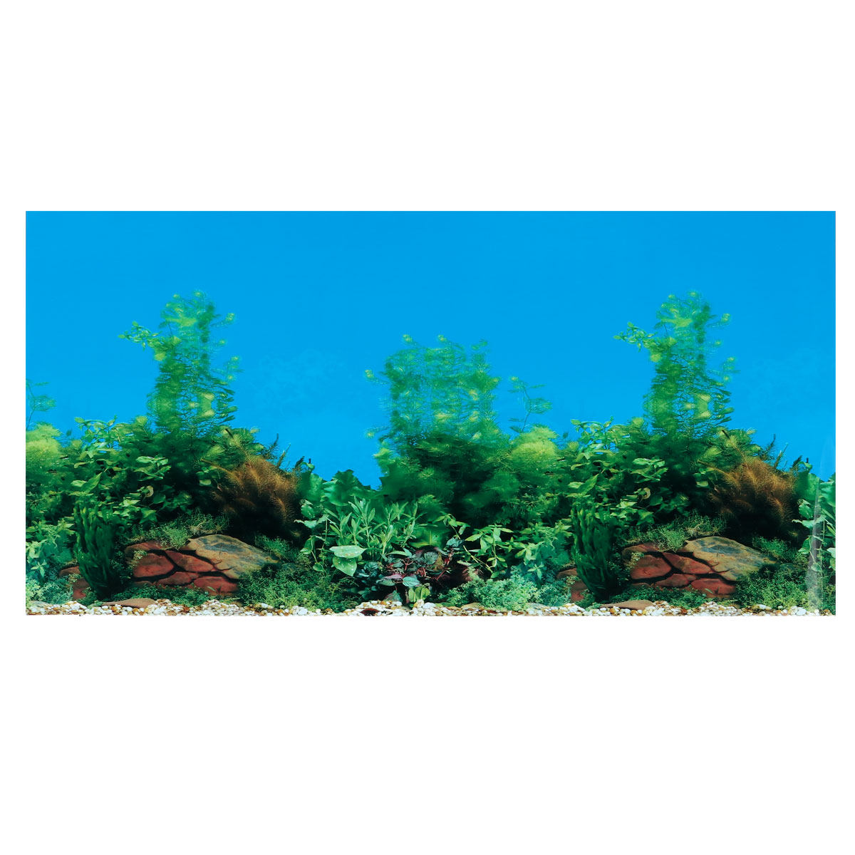 Aquarium achtergrondsticker du - Aquarium Fish Wallpaper recensie en prijs