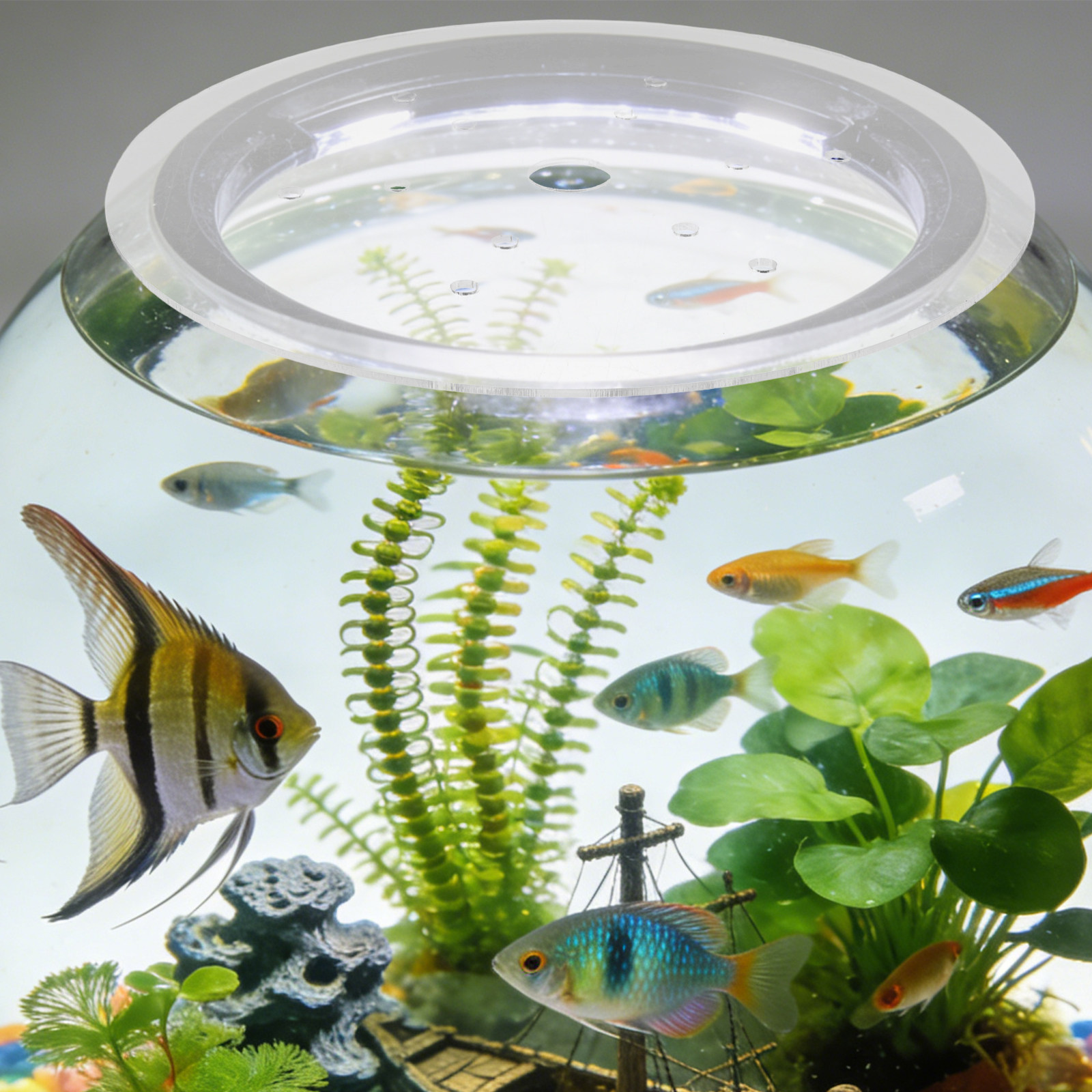 Ronde viskom afdekking, ondoor - Aquarium Fish Jumping recensie en prijs