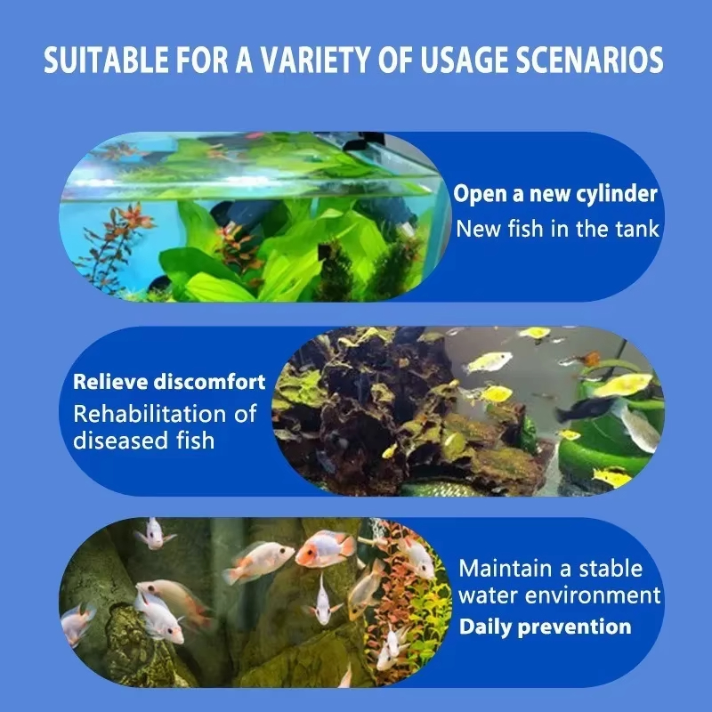 SIKEZHAN Behandeling van viszi - Aquarium Fish Quality recensie en prijs
