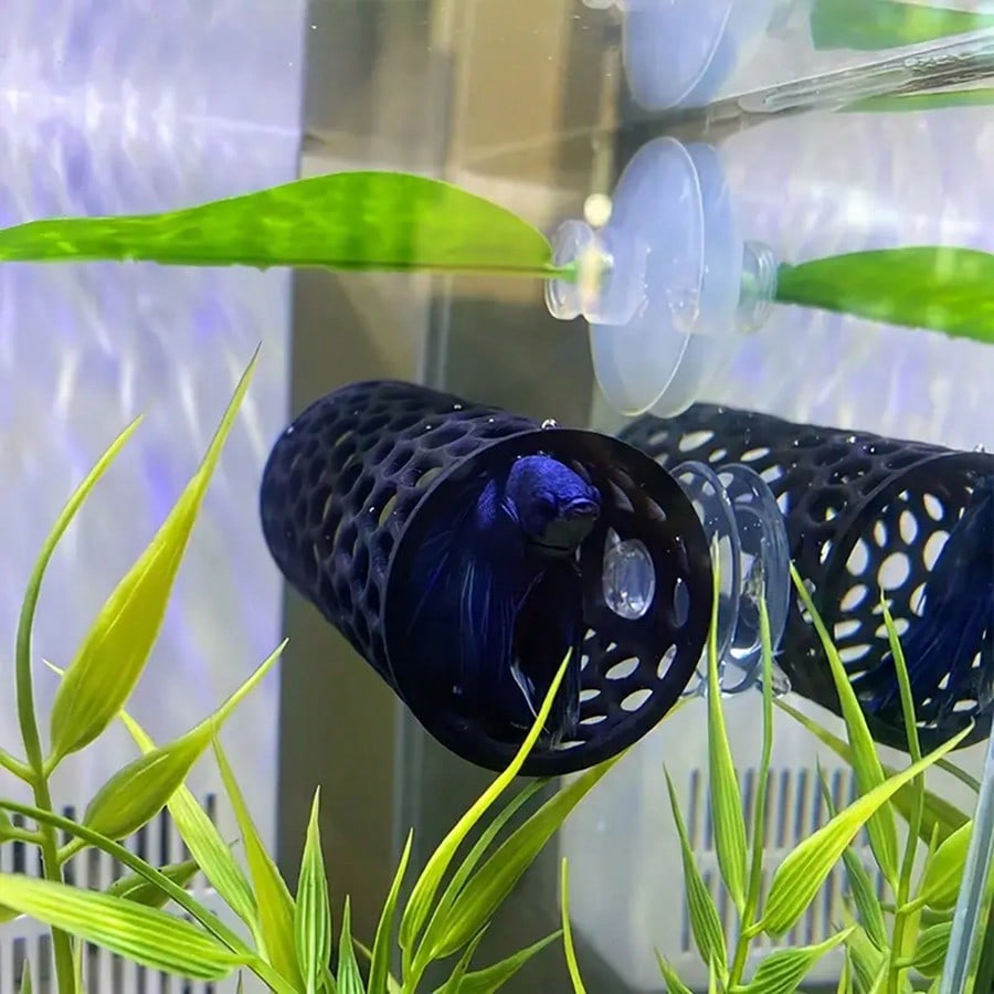Betta Fish Hideout Holle buiso - Aquarium Fish Hideout recensie en prijs
