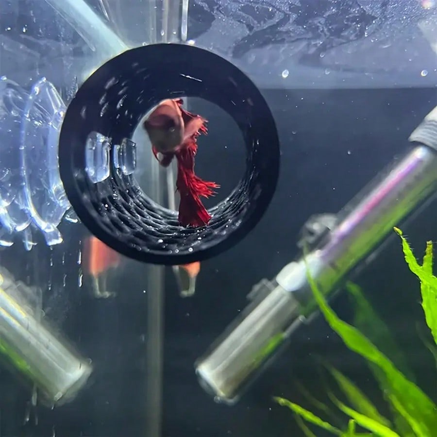Betta Fish Hideout Holle buiso - Aquarium Fish Hideout recensie en prijs