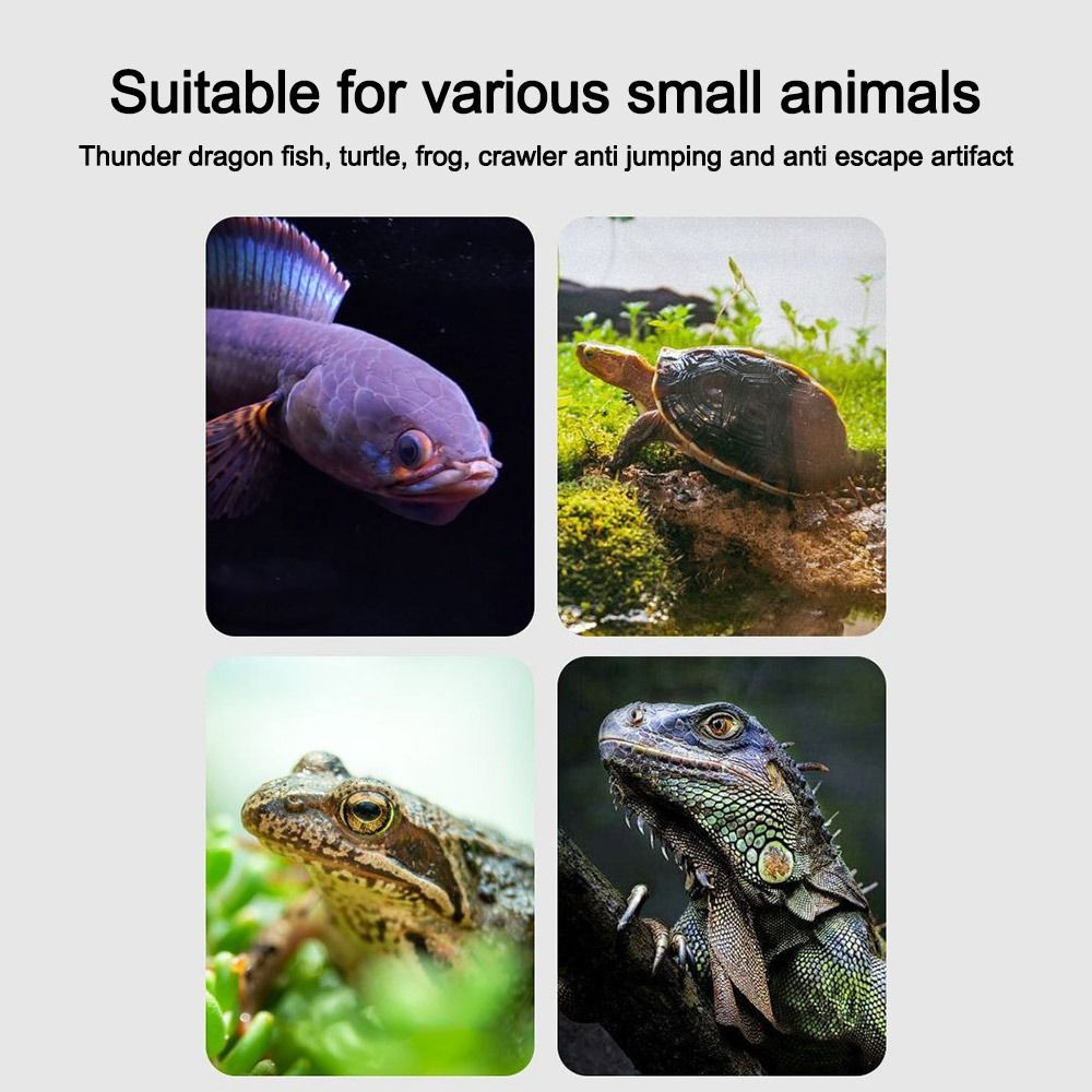 Duurzame Magnetische Aquarium  - Aquarium Fish Jumping recensie en prijs
