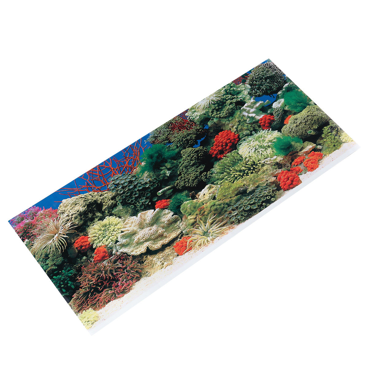 42 cm zelfklevend behang aquar - Aquarium Fish Wallpaper recensie en prijs