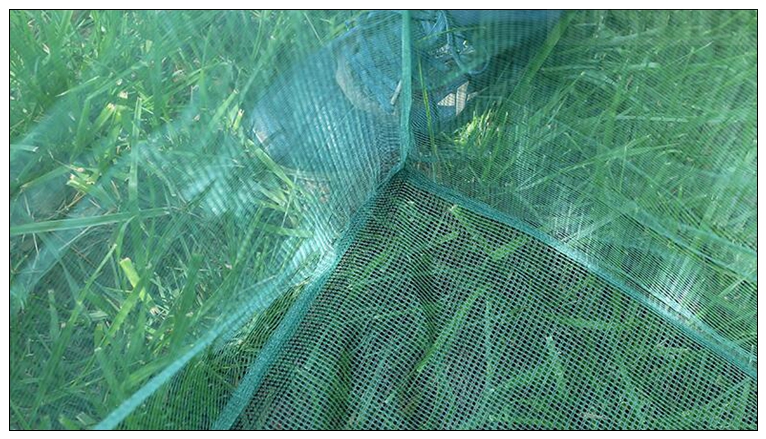 Vissen 3mm Staak Kleine Mesh V - Aquarium Fish Net Small recensie en prijs