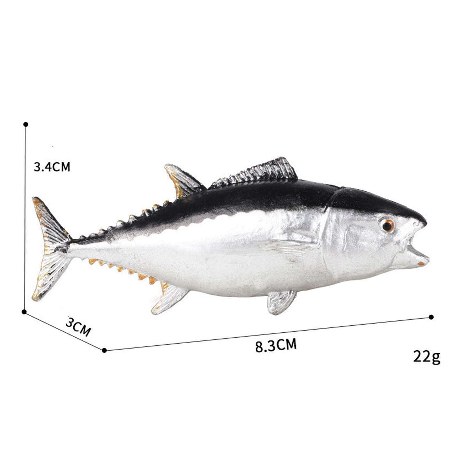 Aquariumdecoraties Cognitief s - Aquarium Fish Small recensie en prijs