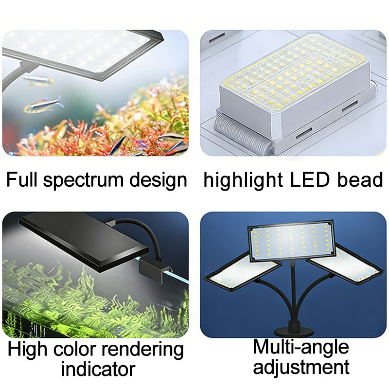 Aquarium Visbak Volspectrum LE - Aquarium Fish Colorful recensie en prijs