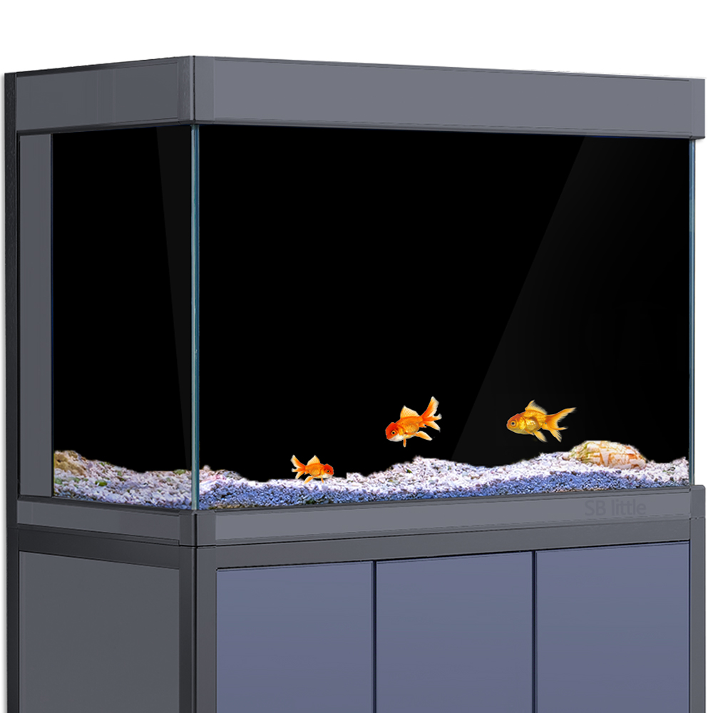 Aquariumachtergrond Statisch k - Aquarium Fish Wallpaper recensie en prijs