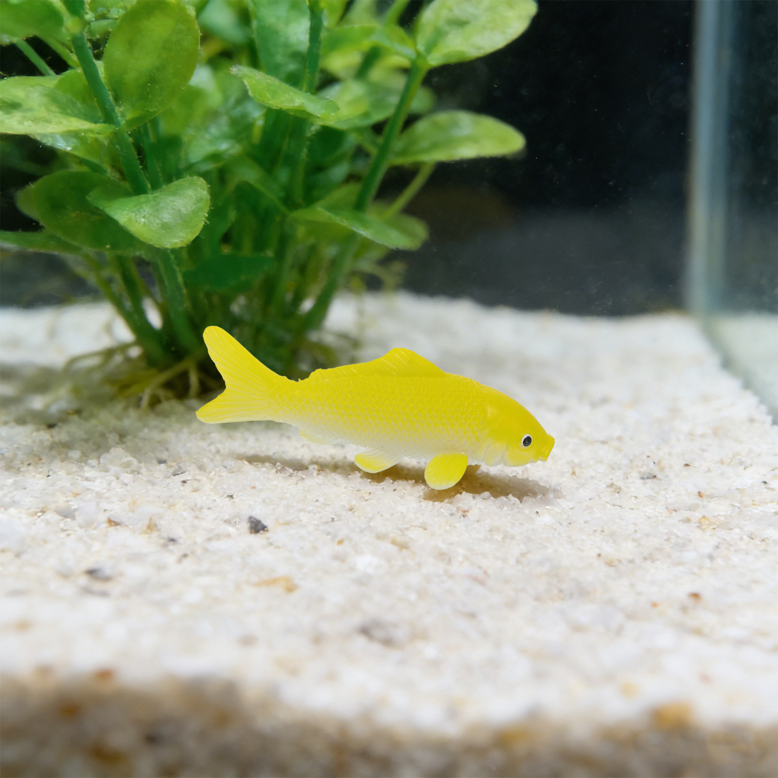 3 stuks visknutselspeelgoed re - Fish Aquarium Home recensie en prijs