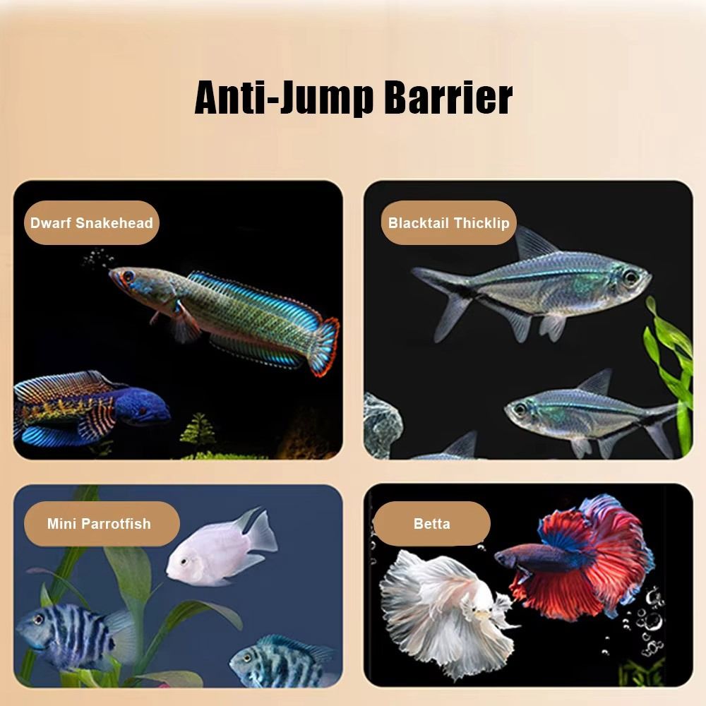 Duurzame magnetische aquariumd - Aquarium Fish Jumping recensie en prijs