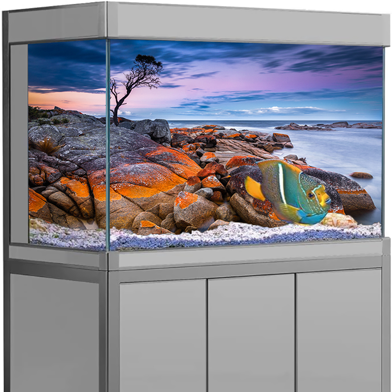 Aquarium Achtergrond Sticker S - Aquarium Fish Wallpaper recensie en prijs