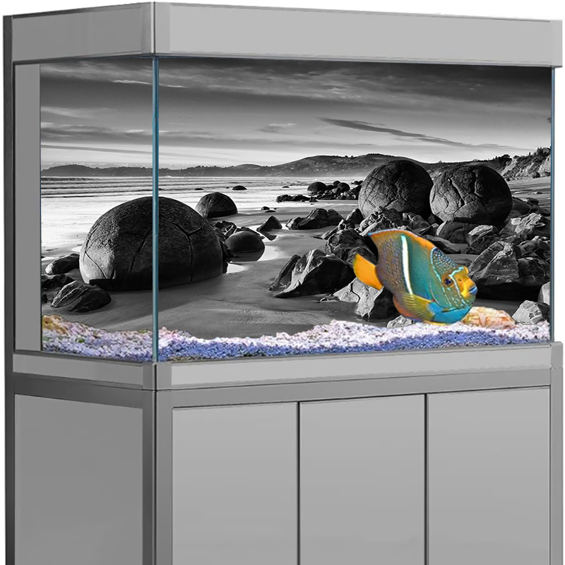 Aquarium Achtergrond Sticker S - Aquarium Fish Wallpaper recensie en prijs