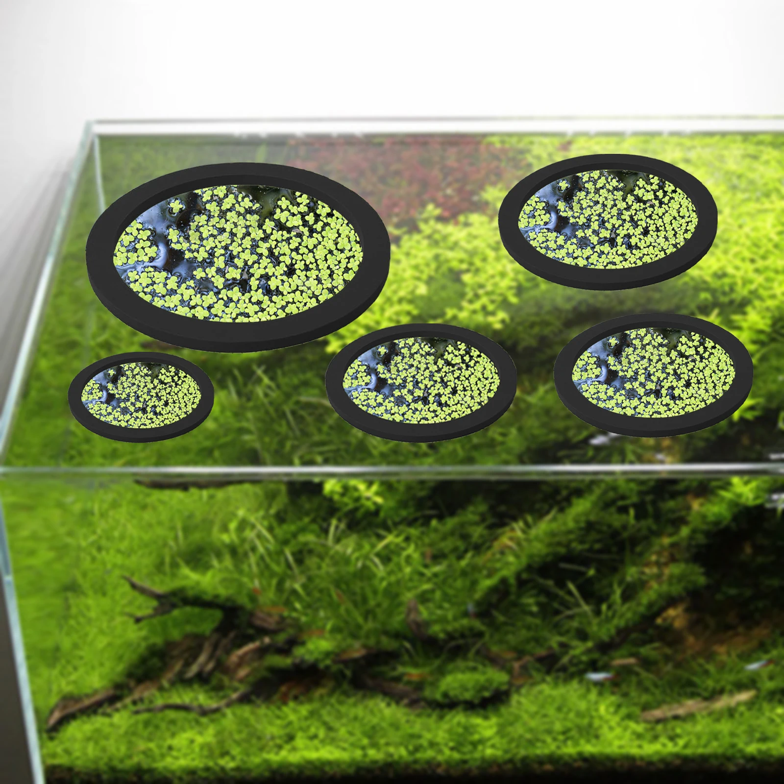 5 stks EVA Vis Voeden Ring Aqu - Fish Aquarium Home recensie en prijs
