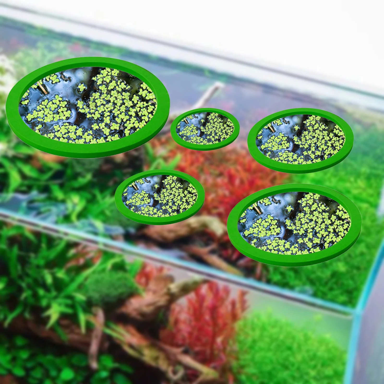5 stks EVA Vis Voeden Ring Aqu - Fish Aquarium Home recensie en prijs