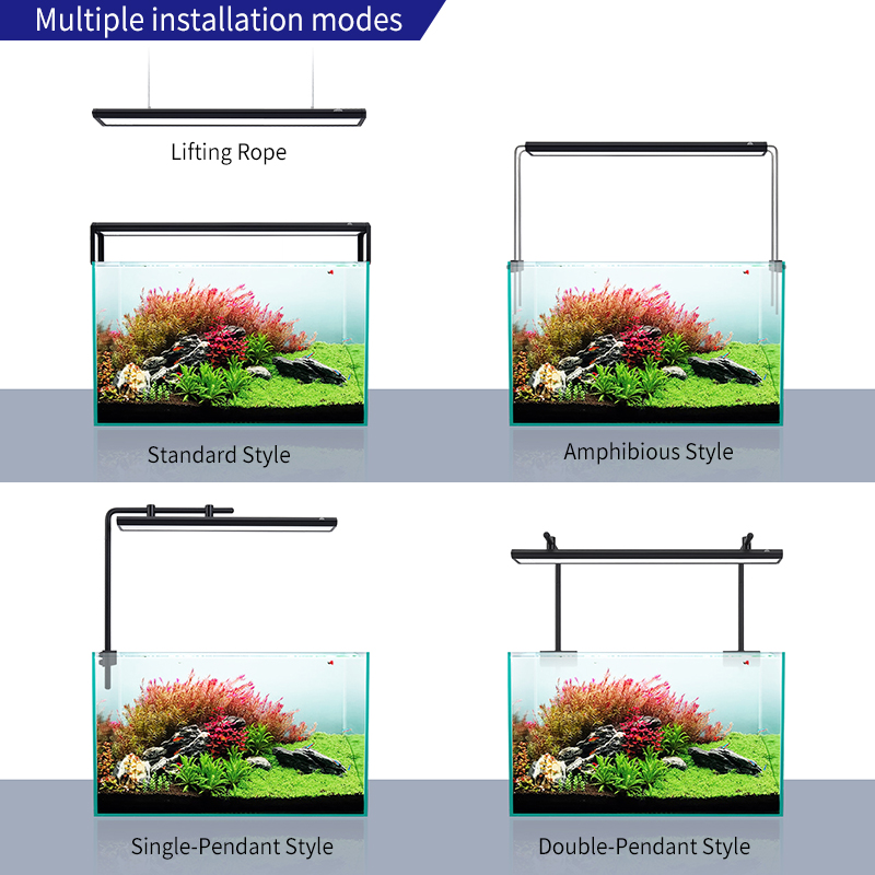 V300SE Beste Prijs 30-40cm Zoe - Aquarium Fish And Price recensie en prijs