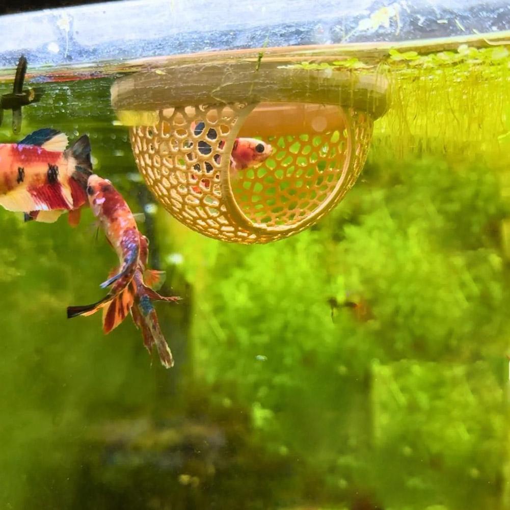 Aquarium Drijvende Grot Vis Ga - Aquarium Fish Hideout recensie en prijs