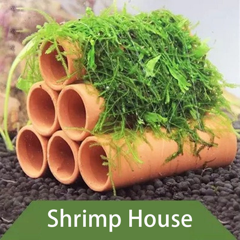 Klei Aquarium Decoratie Vis Ga - Aquarium Fish Hideout recensie en prijs
