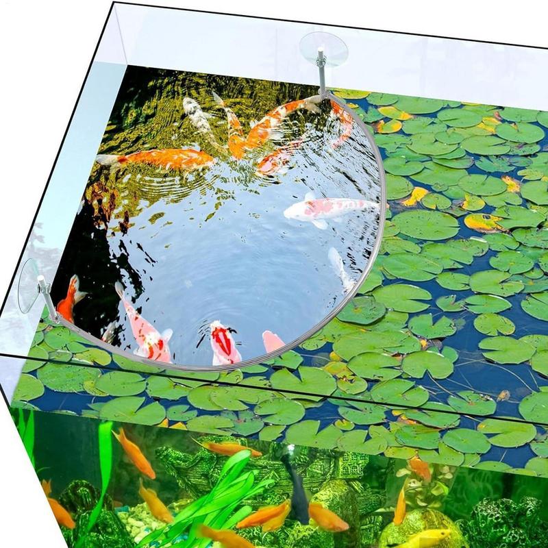 Drijvende plant Corral Fish Fe - Aquarium Fish Quality recensie en prijs