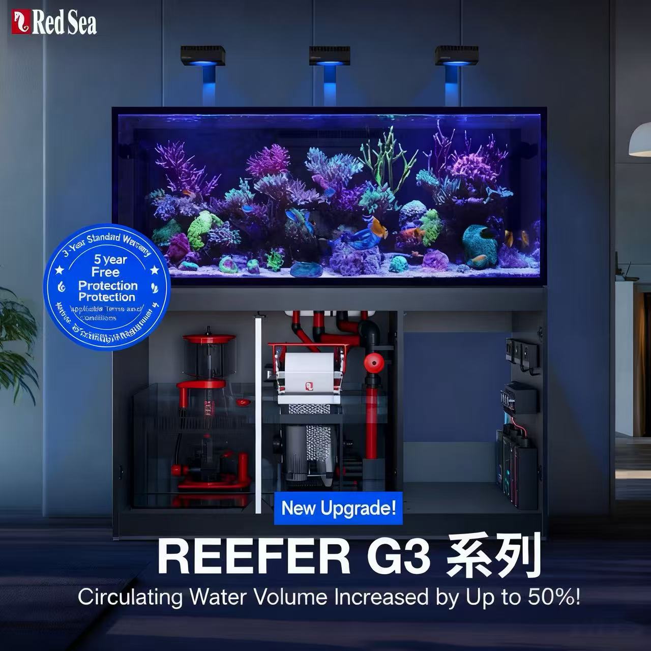 2026 Hot Selling Groothandelsp - Aquarium Fish And Price recensie en prijs