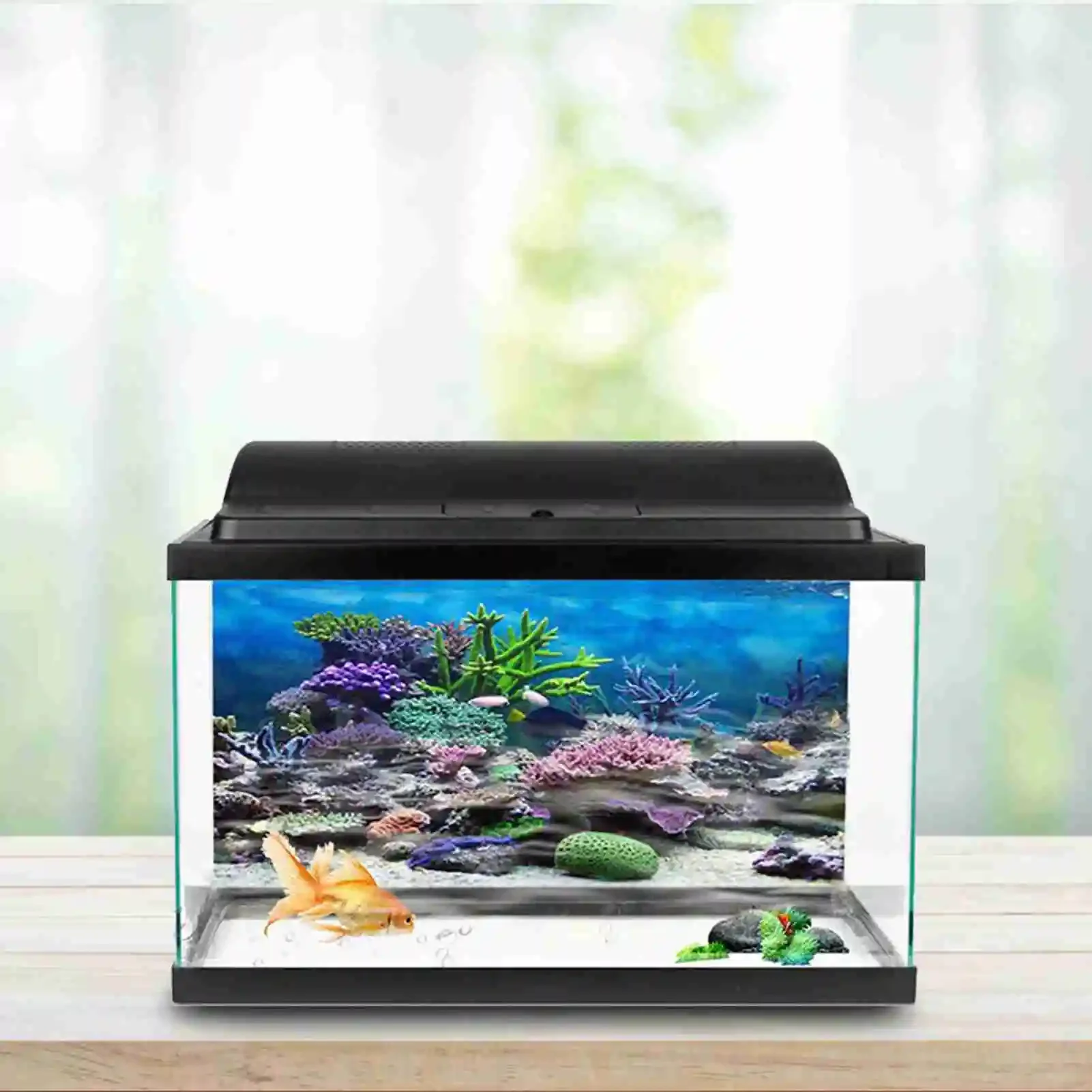 3d Aquarium Landschap Poster R - Aquarium Fish Wallpaper recensie en prijs