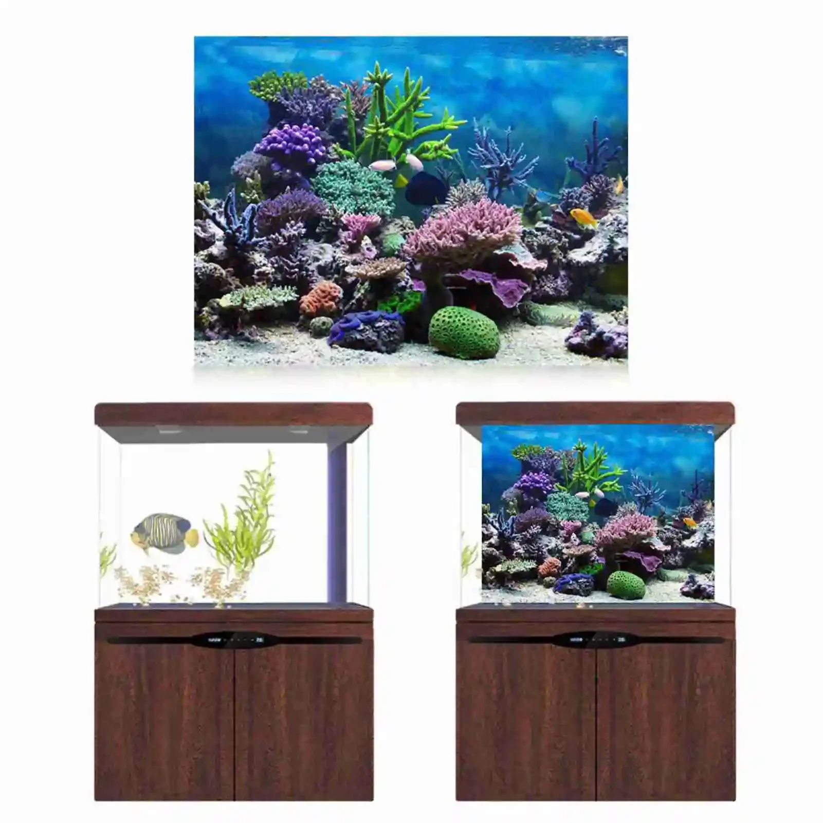 3d Aquarium Landschap Poster R - Aquarium Fish Wallpaper recensie en prijs